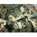 Титанит, диопсид, гроссуляр, Ахматовская копь, Челябинская область, 140х120х60 мм.