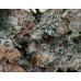 Титанит, диопсид, гроссуляр, Ахматовская копь, Челябинская область, 140х120х60 мм.